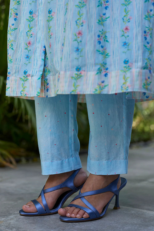 Hidden Orchard Blue Kurta Set