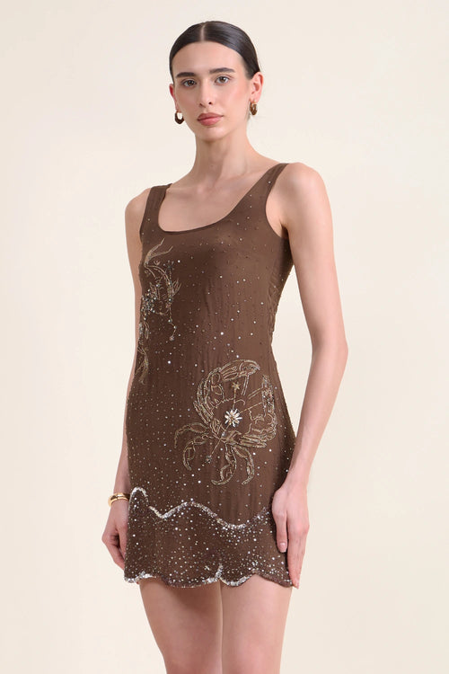 Celeste Embellishment Embroidered Dress