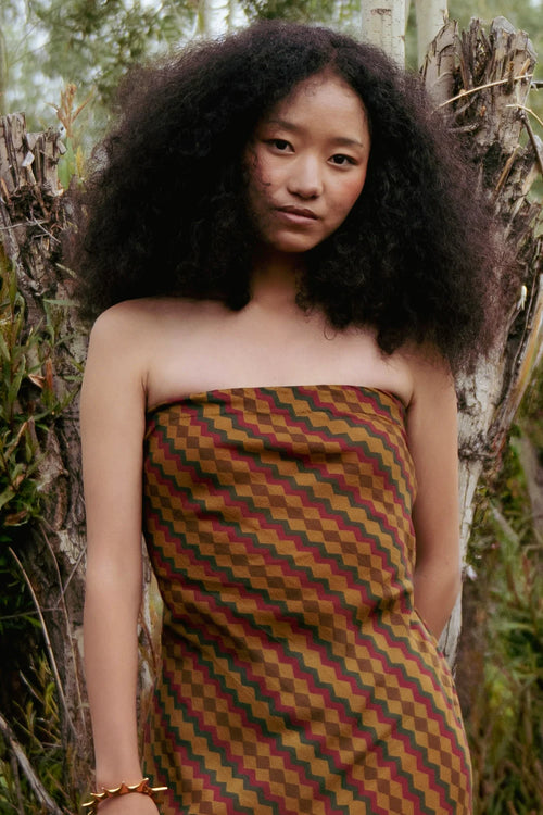 Indus Dress