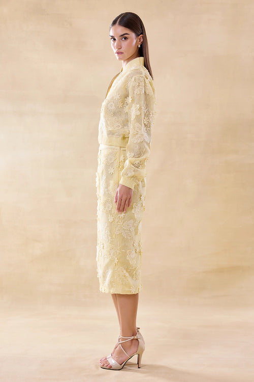 Sunlit Lace Jacket and Skirt Set