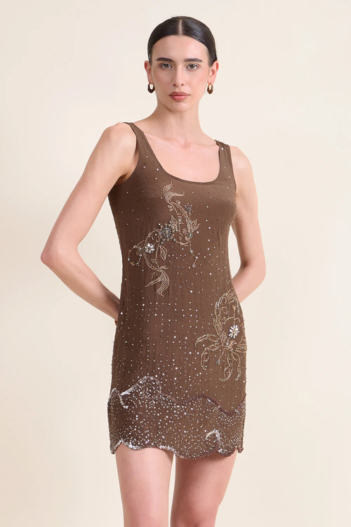 Celeste Embellishment Embroidered Dress