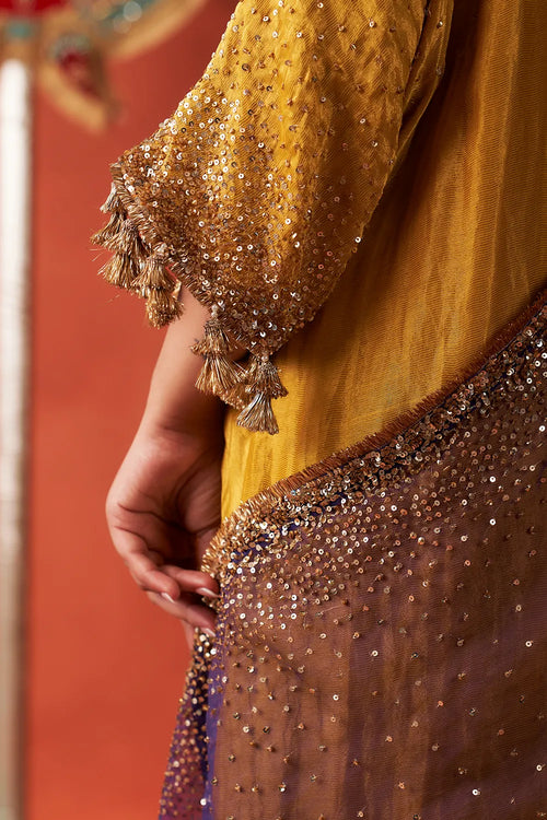 Zari Kurta Set - The Sverve