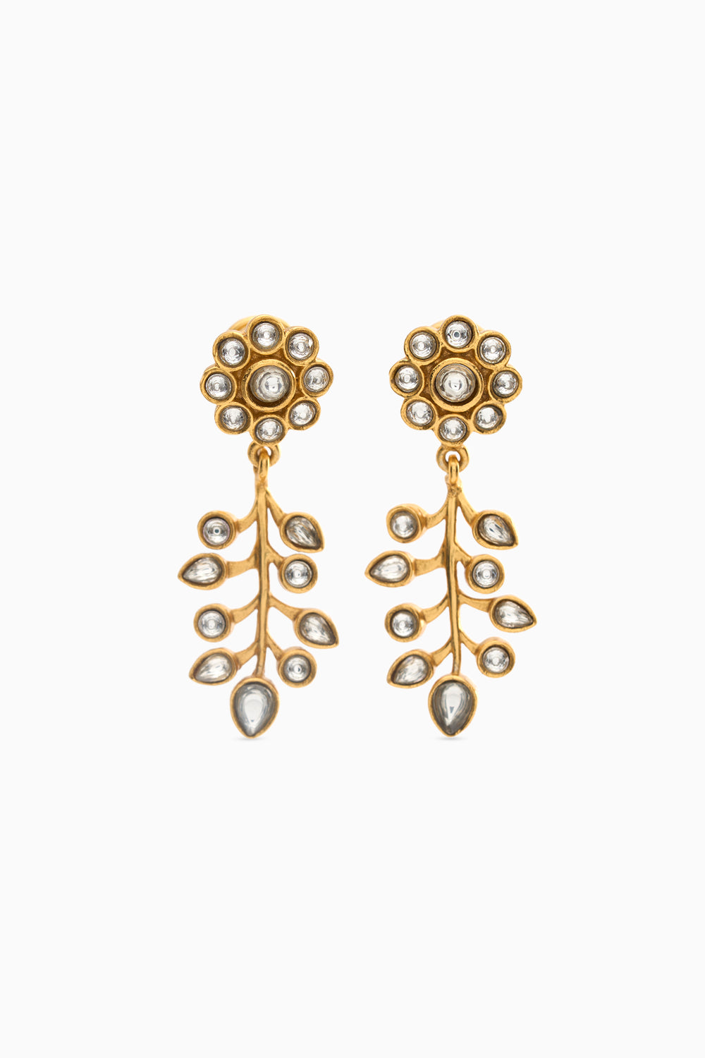 Rosa Vine Drops