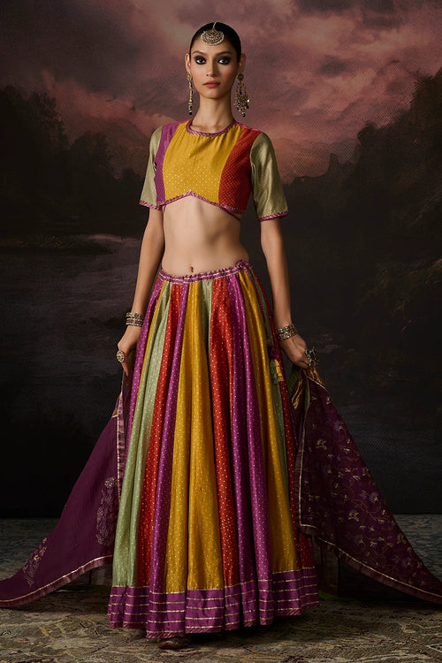 Amal Multicolor Lehenga Set