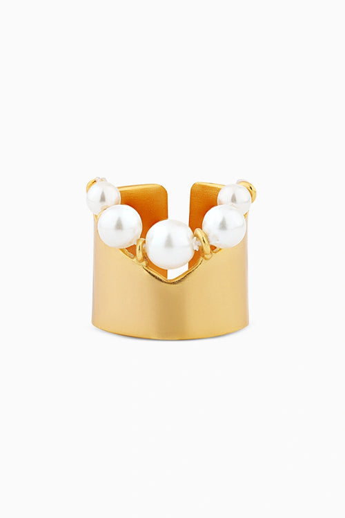 Edge Ring