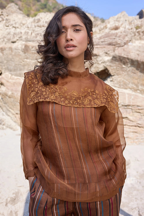 Luc Brown Sheer Top with Neck Flap
