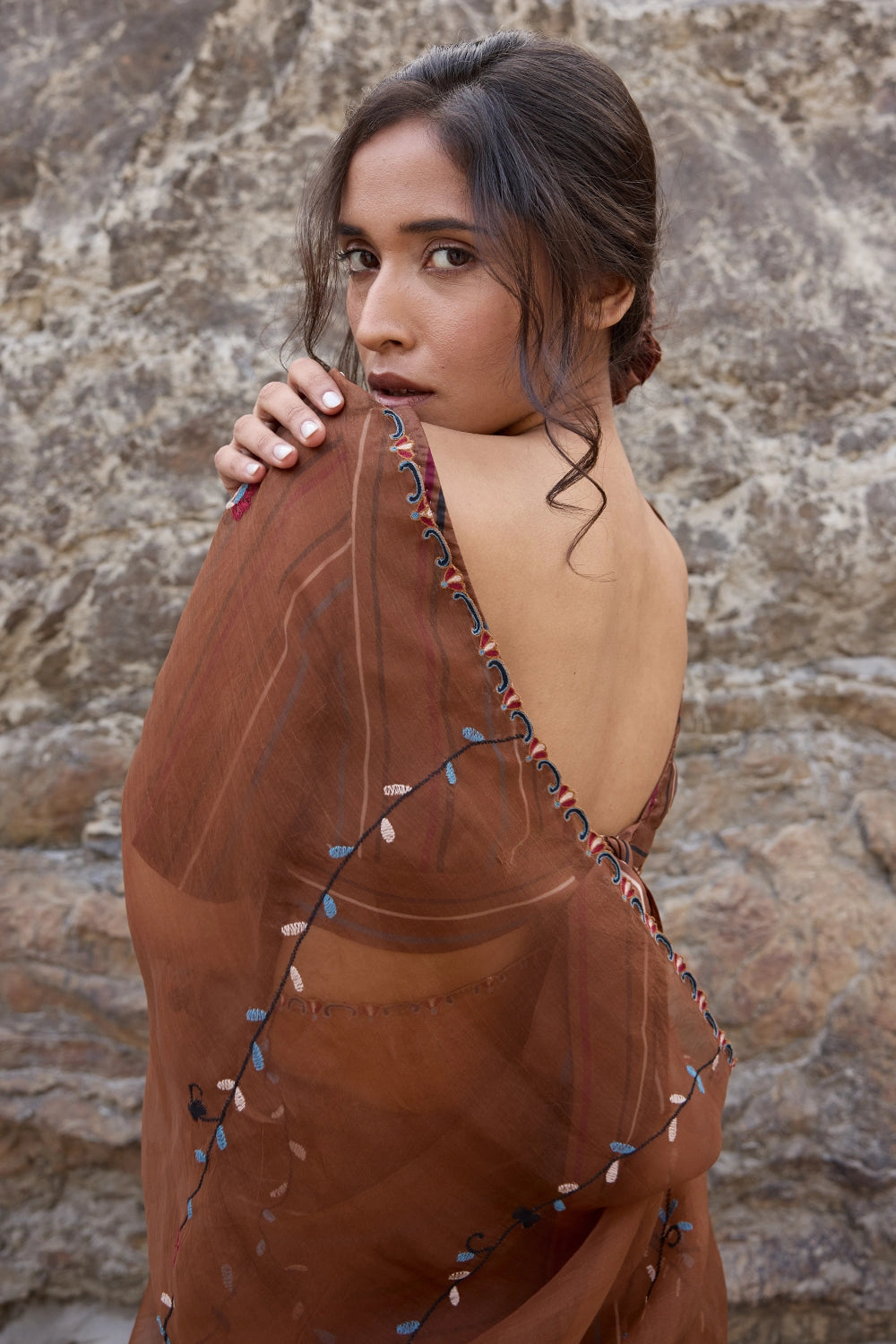 Brown Striper Pleates with Embroidered Pallu Saree