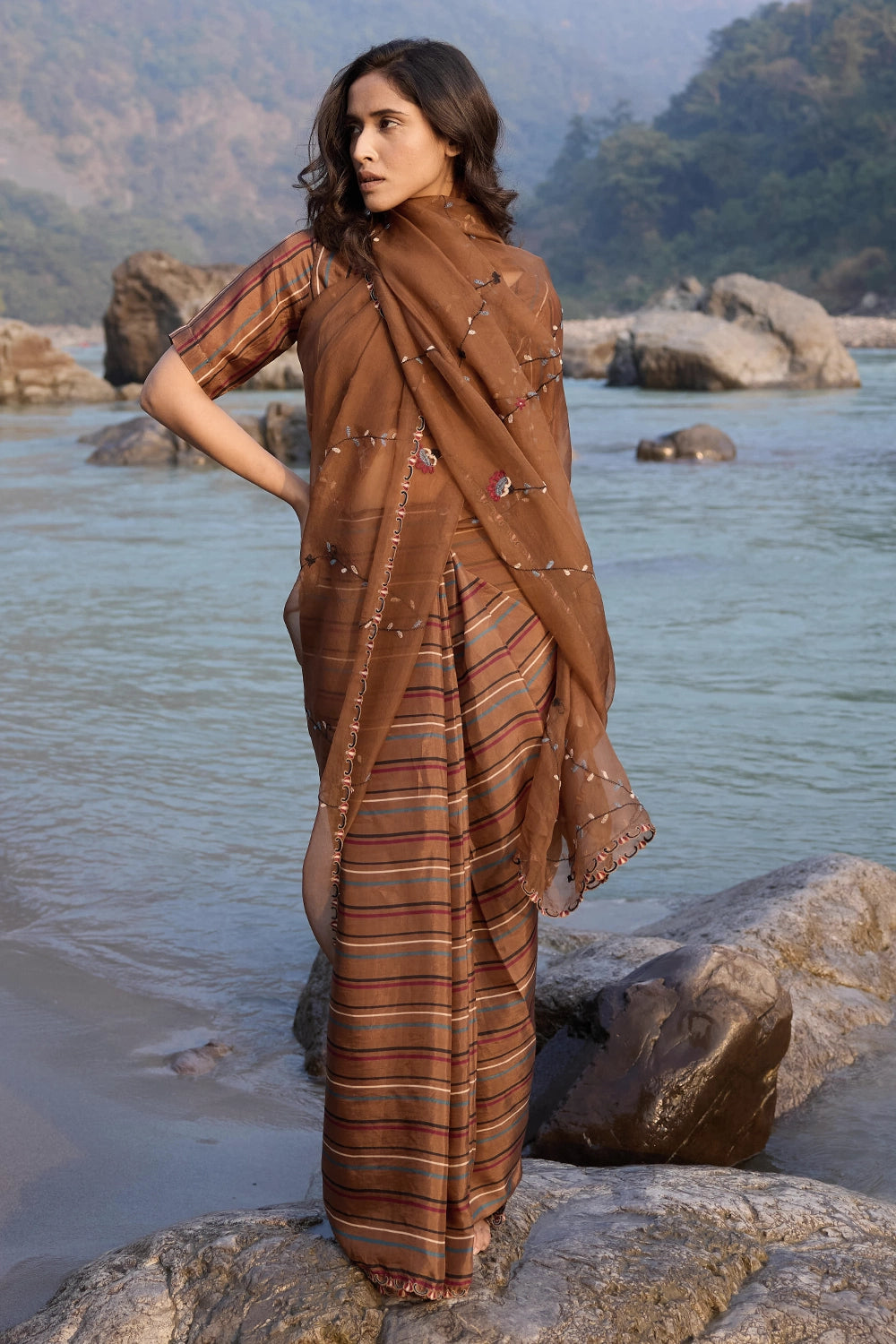 Brown Striper Pleates with Embroidered Pallu Saree