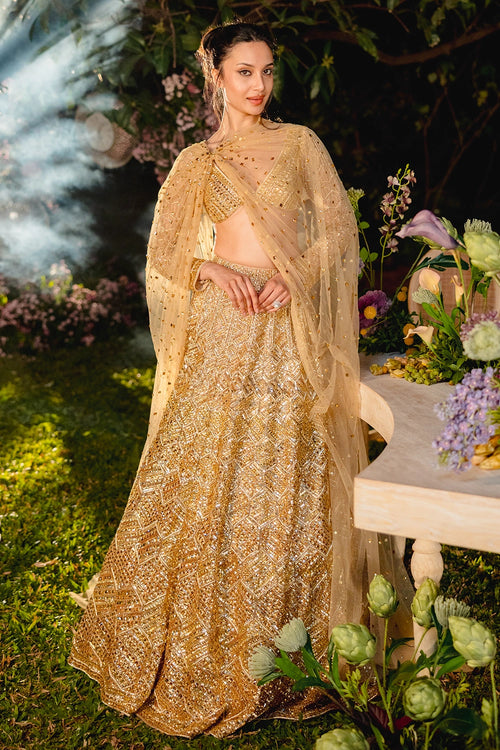 Golden Reverie Lehenga Set
