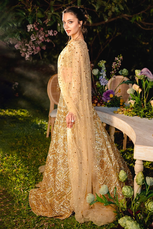 Golden Reverie Lehenga Set