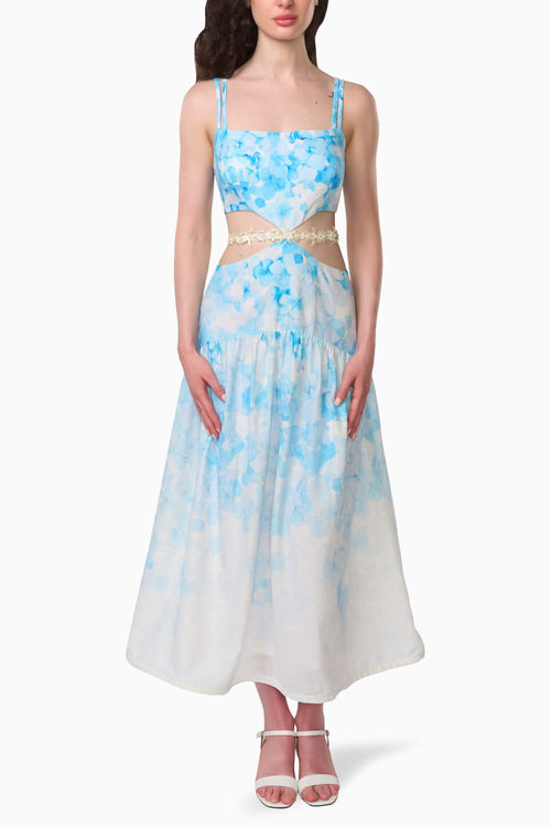 Viviana Long Dress