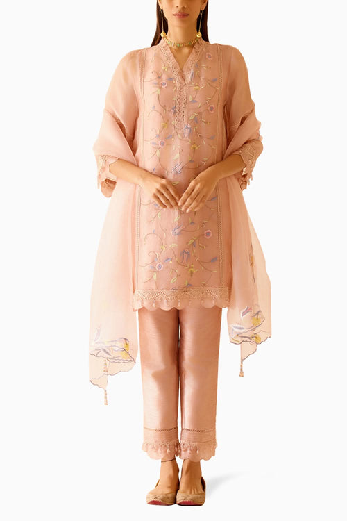 Farida Pink Kurta Set