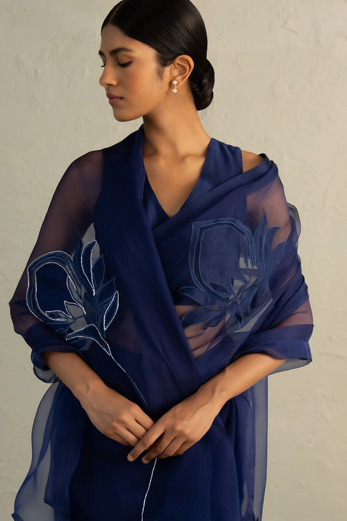 Blue Edit Organza Appliqué Saree