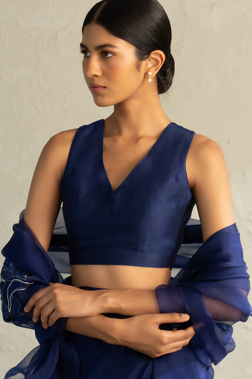 Blue Edit Organza Appliqué Saree