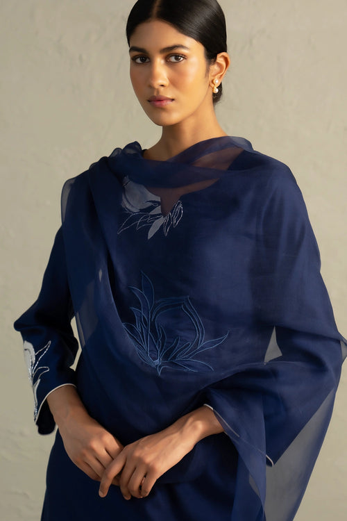 Blue Edit Tara Set With Dupatta
