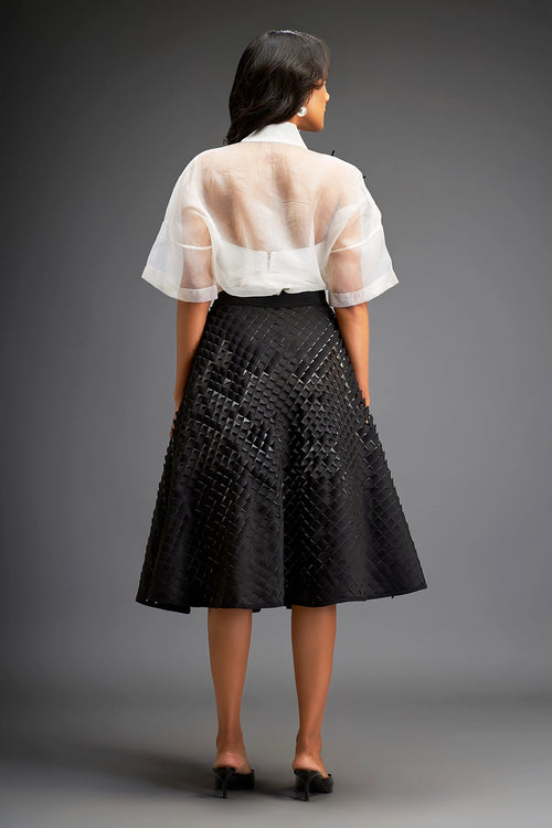 Sheer Blouse With Black Textured 3-D Skirt