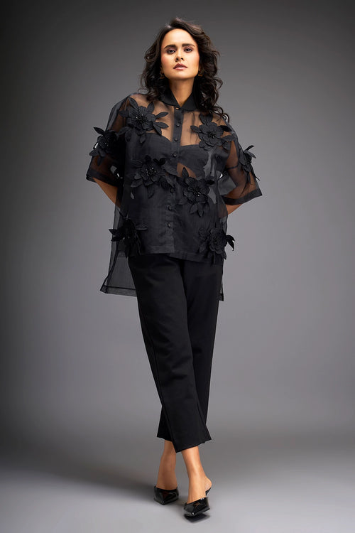 Black Sheer Top With Tube And Pants