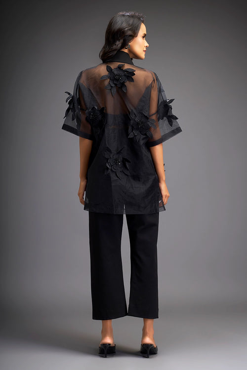 Black Sheer Top With Tube And Pants
