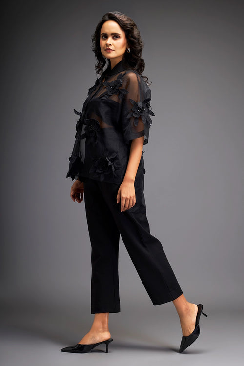 Black Sheer Top With Tube And Pants