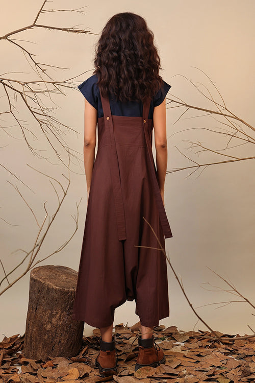 Blue & Brown Dungarees Set
