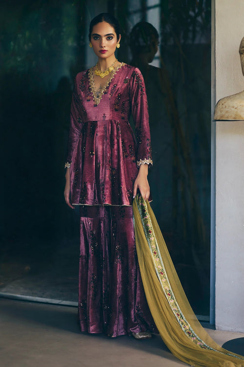 Wine Araya Velvet Kurta Set