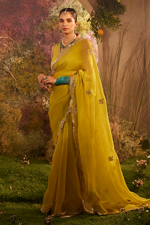 Hand Embroidered Mustard Organza Saree