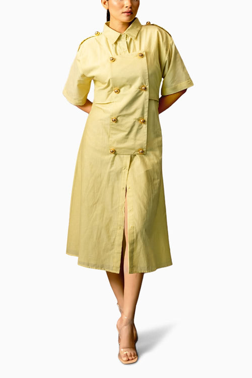 Nishi Dress