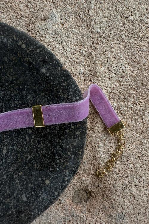 Timeless Lion Velvet Choker