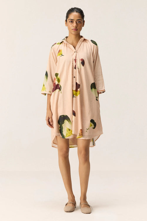 Blush Tide Dress