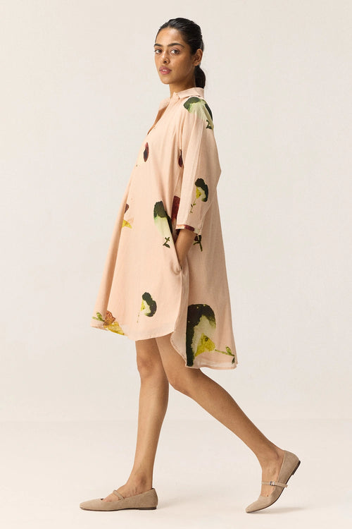 Blush Tide Dress