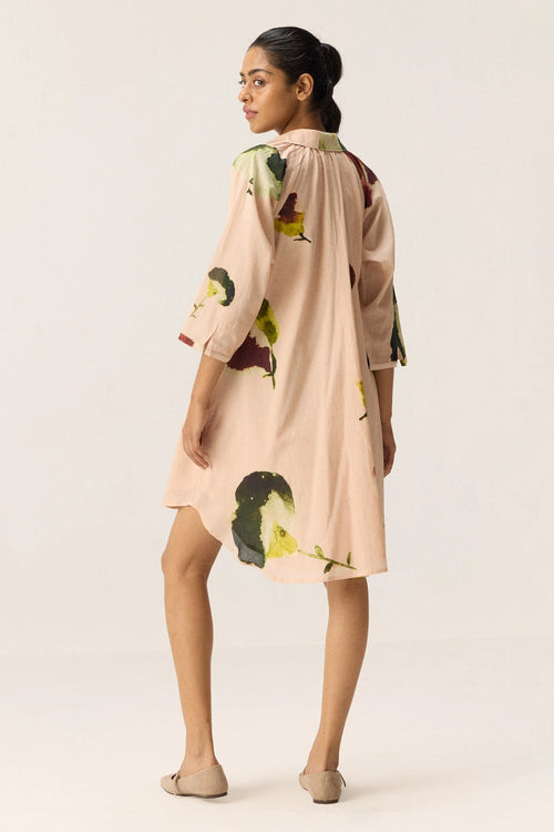 Blush Tide Dress
