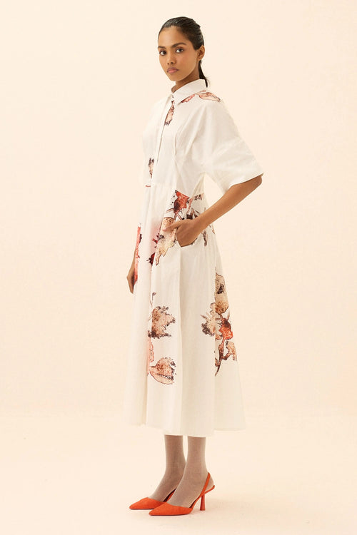 Multicolor Caucasian Shirt Dress