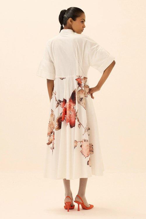 Multicolor Caucasian Shirt Dress