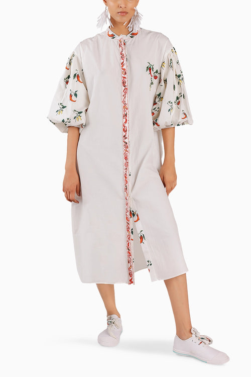 Popline Shirt Dress