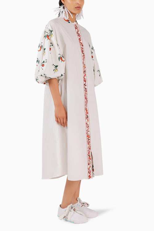Popline Shirt Dress