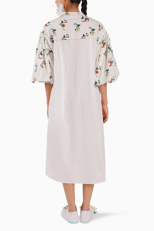 Popline Shirt Dress