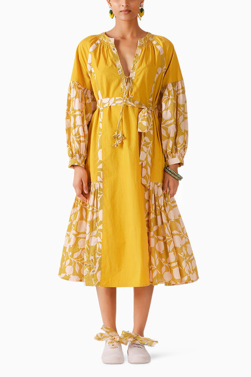 Olive Pomegranate Print Dress