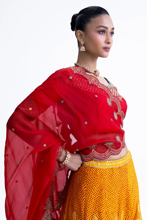 Yellow Red Ekam Lehenga Set