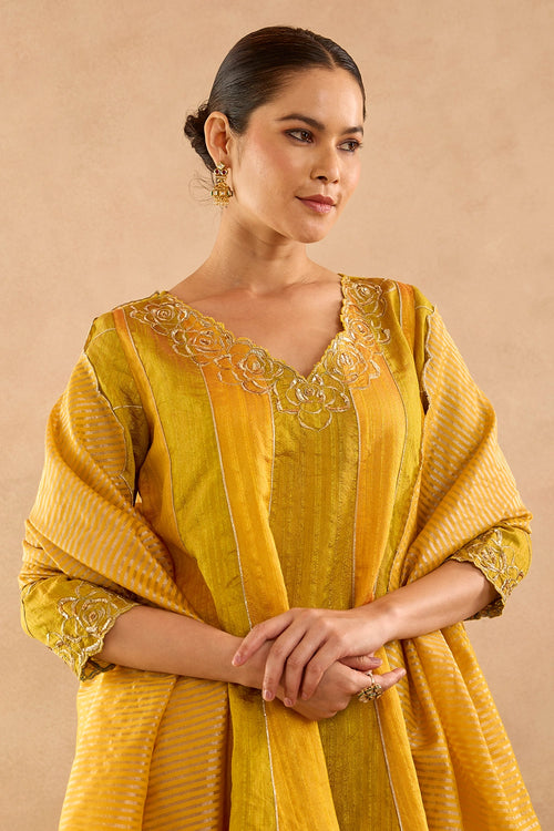 Olive Yellow Zari Embroidered Anarkali Set