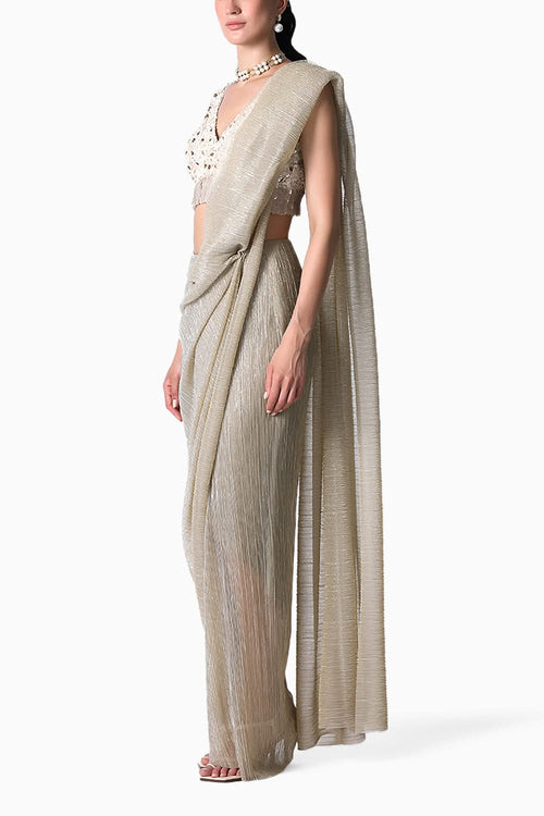 Avis Blouse with Pari Net Sari