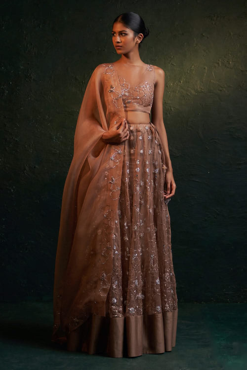 Midas Ginger Organza Hand Embroidered Lehenga Set