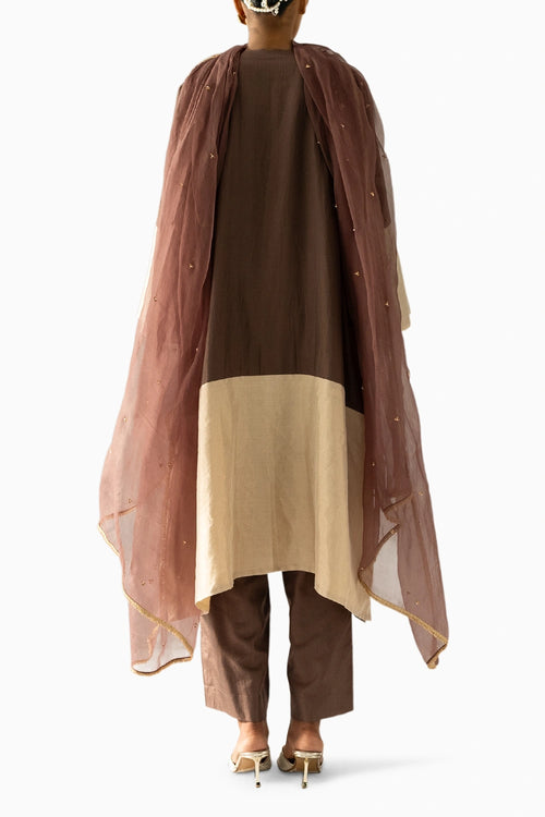Brown A line Tissue Suit