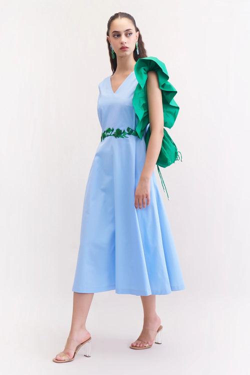 Blueberry Raisin Dress