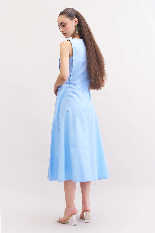 Blueberry Raisin Dress