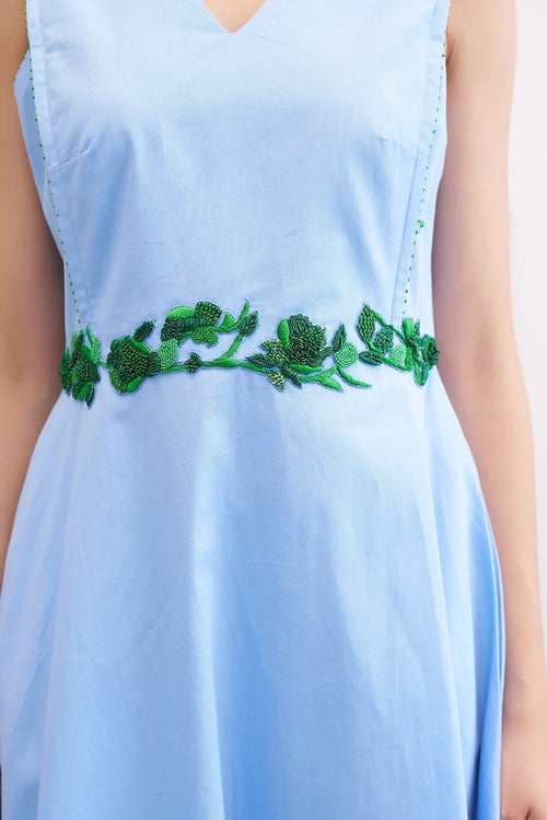Blueberry Raisin Dress