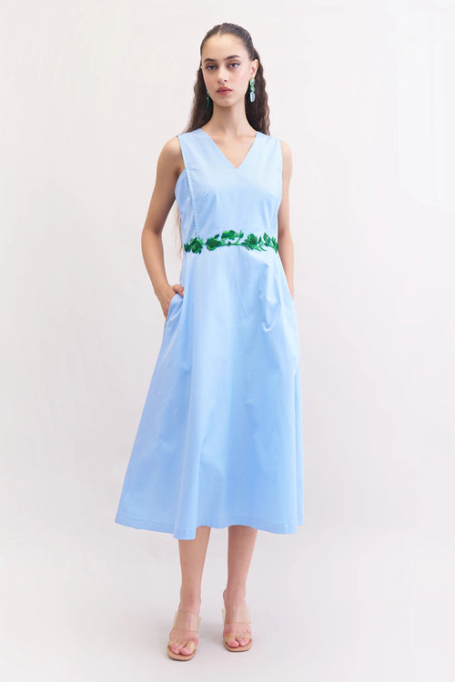 Blueberry Raisin Dress