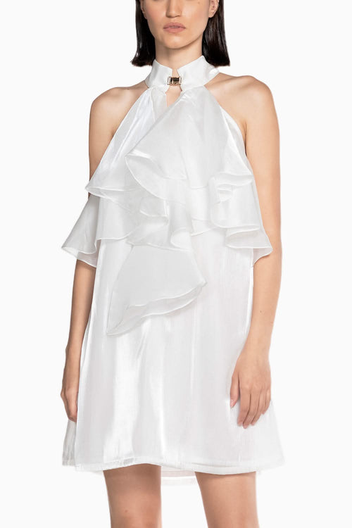 Fluid Organza Mini Dress