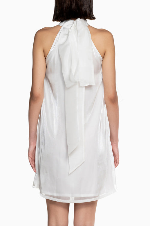 Fluid Organza Mini Dress