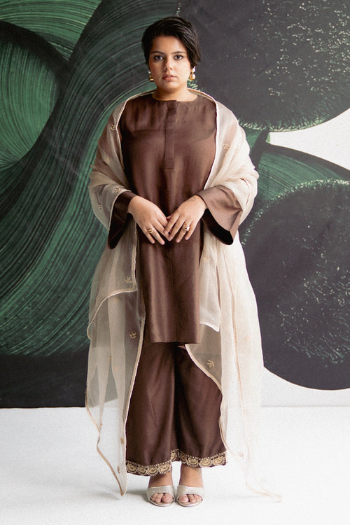 Brown Kurta Set