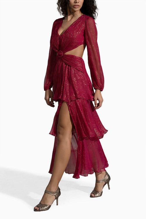 Wine In The Wild Dress